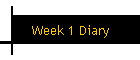 Week 1 Diary