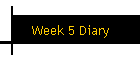 Week 5 Diary